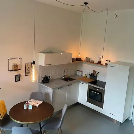 Apartment Luxurious With Sauna And Kitchen In Center Of Dordrecht