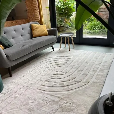 Luxurious With Sauna And Kitchen In Center Of Dordrecht