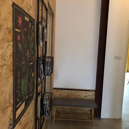 Luxurious With Sauna And Kitchen In Center Of *