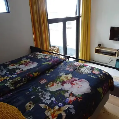 Apartment Luxurious With Sauna And Kitchen In Center Of Dordrecht