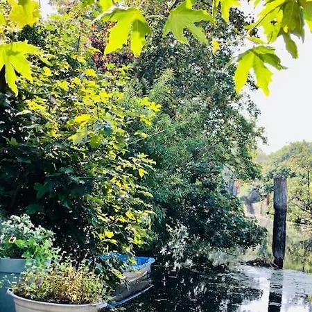 Luxurious With Sauna And Kitchen In Center Of *