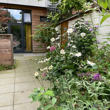 Apartament Luxurious With Sauna And Kitchen In Center Of