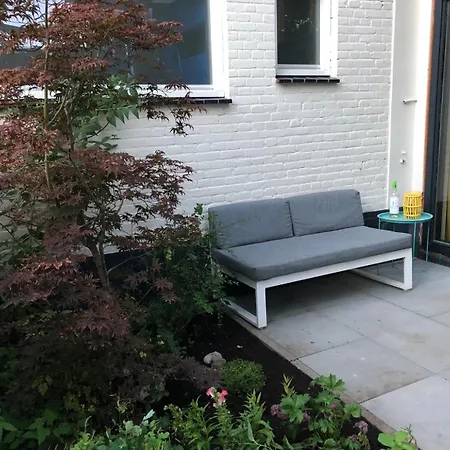 Luxurious With Sauna And Kitchen In Center Of *