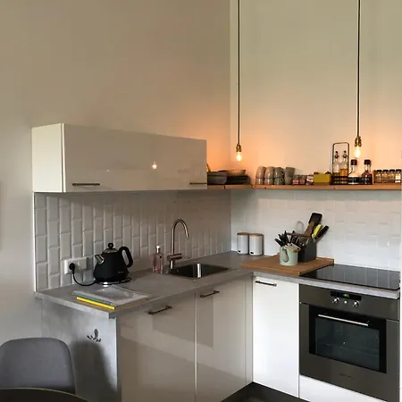 Luxurious With Sauna And Kitchen In Center Of Lejlighed *