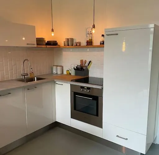 Luxurious With Sauna And Kitchen In Center Of Apartament