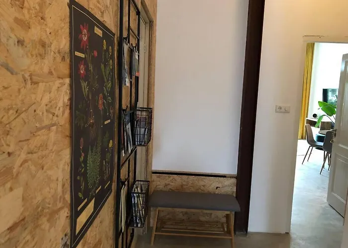 Luxurious With Sauna And Kitchen In Center Of *