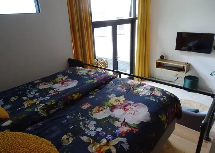 Lejlighed Luxurious With Sauna And Kitchen In Center Of Dordrecht