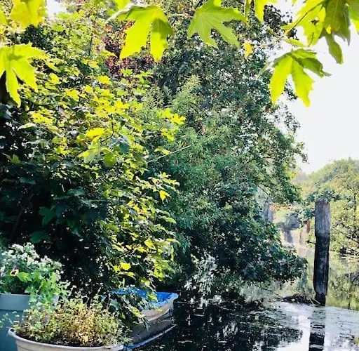 Luxurious With Sauna And Kitchen In Center Of *