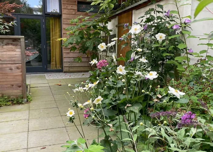 Lejlighed Luxurious With Sauna And Kitchen In Center Of