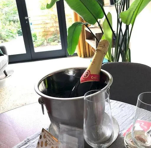 Luxurious With Sauna And Kitchen In Center Of